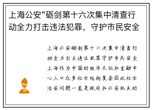 上海公安“砺剑第十六次集中清查行动全力打击违法犯罪，守护市民安全
